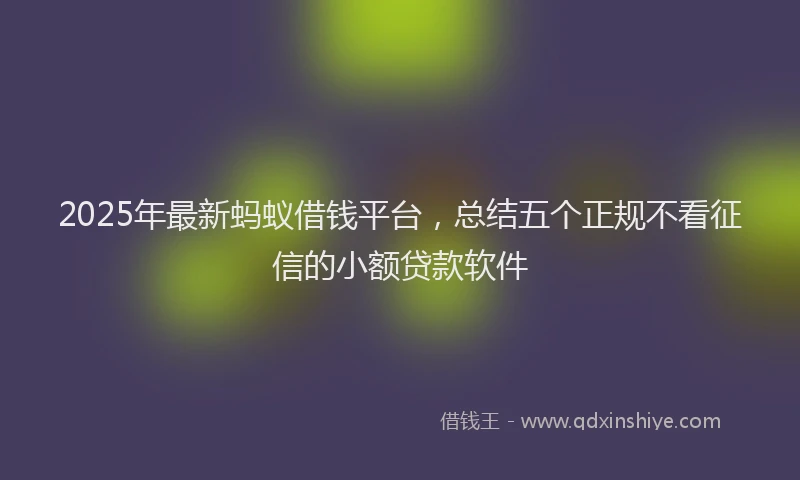 2025年最新蚂蚁借钱平台，总结五个正规不看征信的小额贷款软件