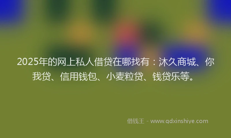 2025年的网上私人借贷在哪找有：沐久商城、你我贷、信用钱包、小麦粒贷、钱贷乐等。