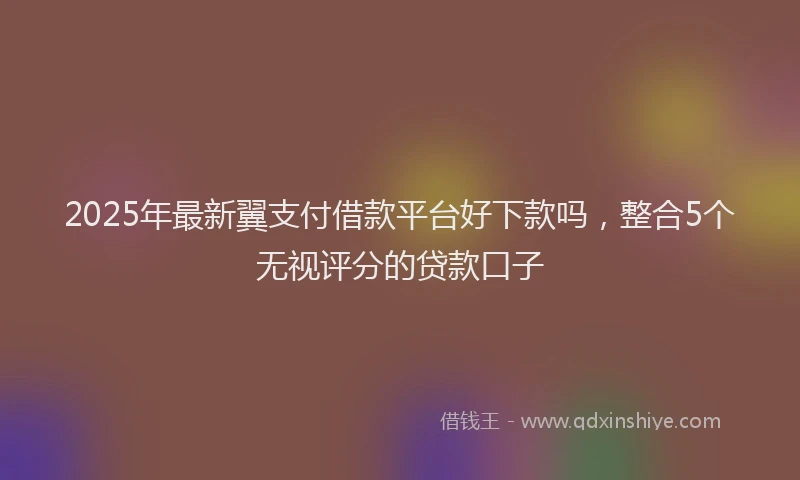 2025年最新翼支付借款平台好下款吗，整合5个无视评分的贷款口子