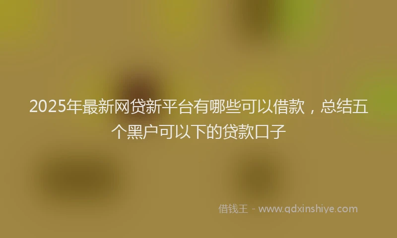 2025年最新网贷新平台有哪些可以借款，总结五个黑户可以下的贷款口子