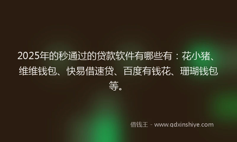 2025年的秒通过的贷款软件有哪些有：花小猪、维维钱包、快易借速贷、百度有钱花、珊瑚钱包等。