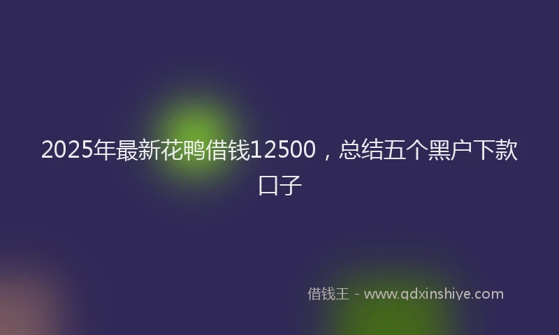 2025年最新花鸭借钱12500，总结五个黑户下款口子