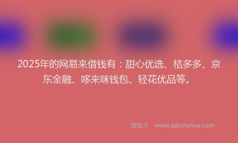 2025年的网易来借钱有：甜心优选、桔多多、京东金融、哆来咪钱包、轻花优品等。