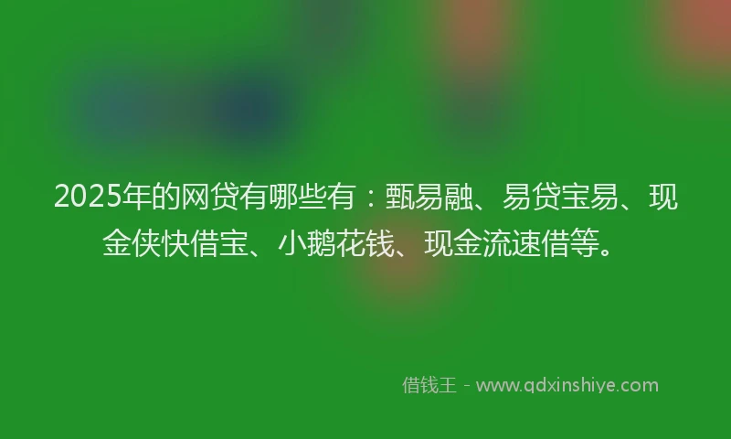 2025年的网贷有哪些有：甄易融、易贷宝易、现金侠快借宝、小鹅花钱、现金流速借等。