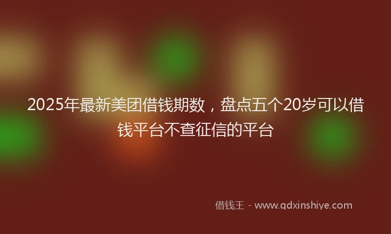 2025年最新美团借钱期数，盘点五个20岁可以借钱平台不查征信的平台