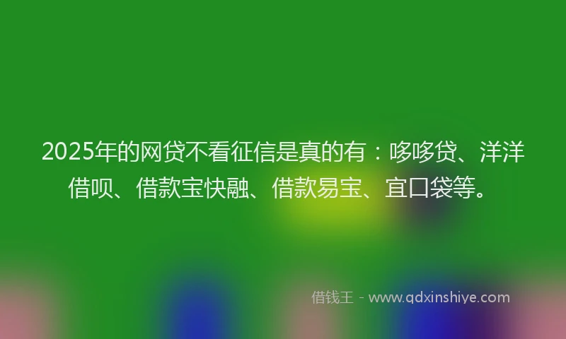 2025年的网贷不看征信是真的有：哆哆贷、洋洋借呗、借款宝快融、借款易宝、宜口袋等。