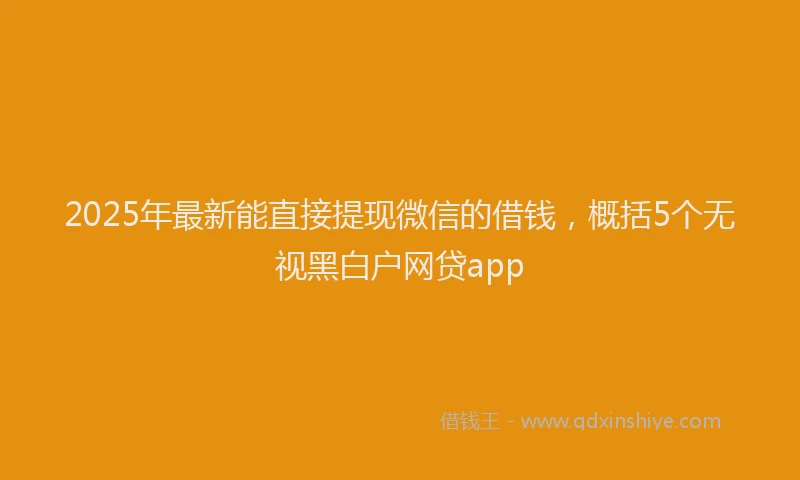 2025年最新能直接提现微信的借钱，概括5个无视黑白户网贷app