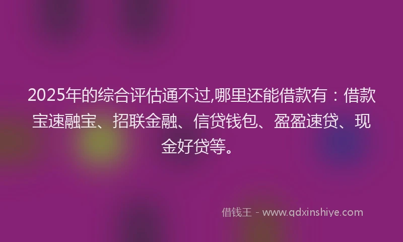 2025年的综合评估通不过,哪里还能借款有：借款宝速融宝、招联金融、信贷钱包、盈盈速贷、现金好贷等。