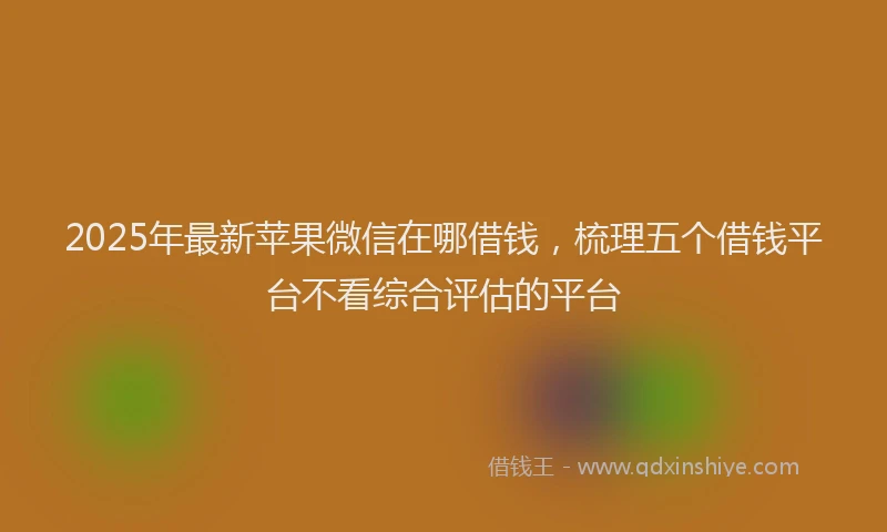 2025年最新苹果微信在哪借钱，梳理五个借钱平台不看综合评估的平台