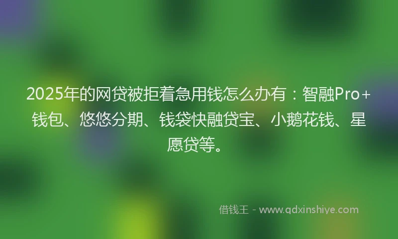 2025年的网贷被拒着急用钱怎么办有:智融Pro+钱包、悠悠分期、钱袋快融贷宝、小鹅花钱、星愿贷等。