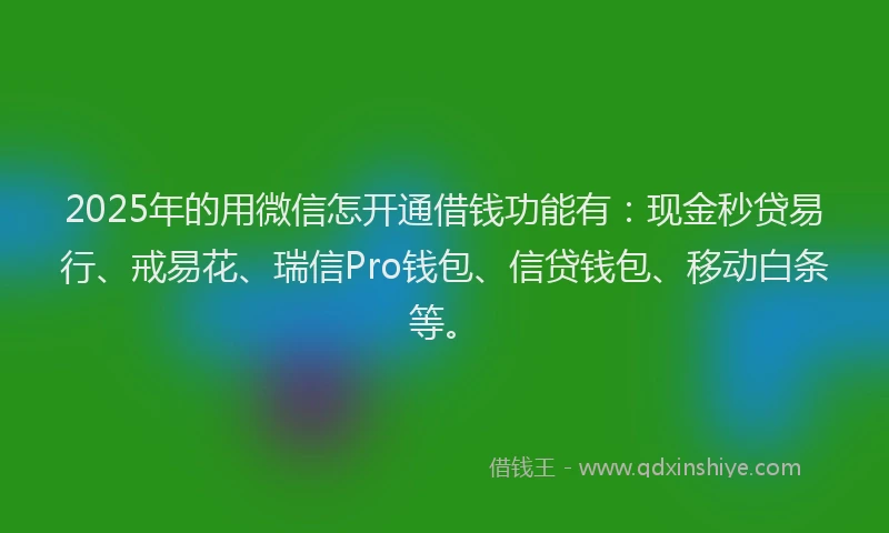 2025年的用微信怎开通借钱功能有：现金秒贷易行、戒易花、瑞信Pro钱包、信贷钱包、移动白条等。