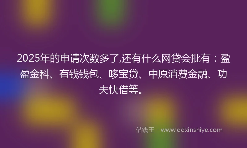 2025年的申请次数多了,还有什么网贷会批有：盈盈金科、有钱钱包、哆宝贷、中原消费金融、功夫快借等。