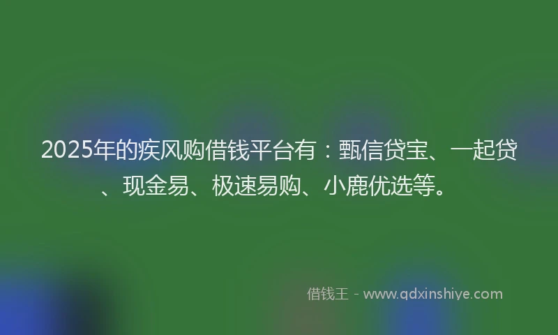 2025年的疾风购借钱平台有：甄信贷宝、一起贷、现金易、极速易购、小鹿优选等。