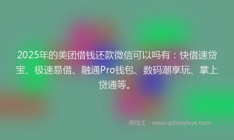 2025年的美团借钱还款微信可以吗有：快借速贷宝、极速易借、融通Pro钱包、数码潮享玩、掌上贷通等。