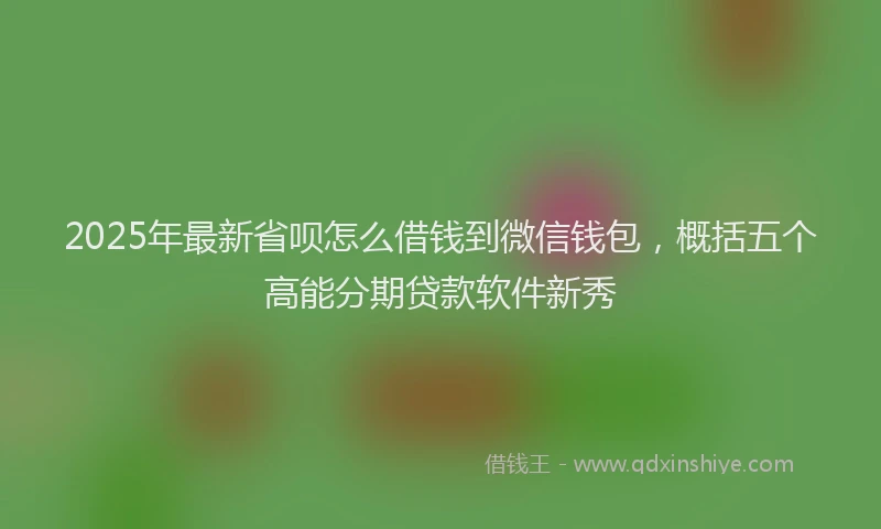 2025年最新省呗怎么借钱到微信钱包，概括五个高能分期贷款软件新秀