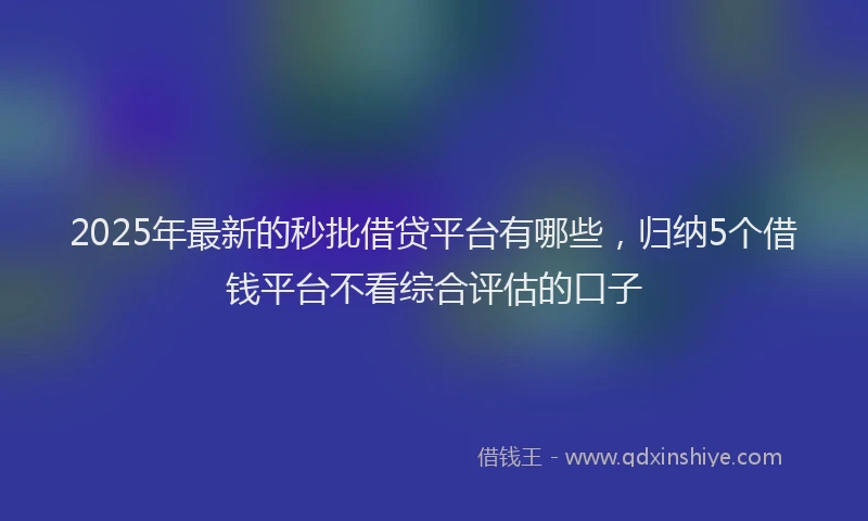 2025年最新的秒批借贷平台有哪些，归纳5个借钱平台不看综合评估的口子