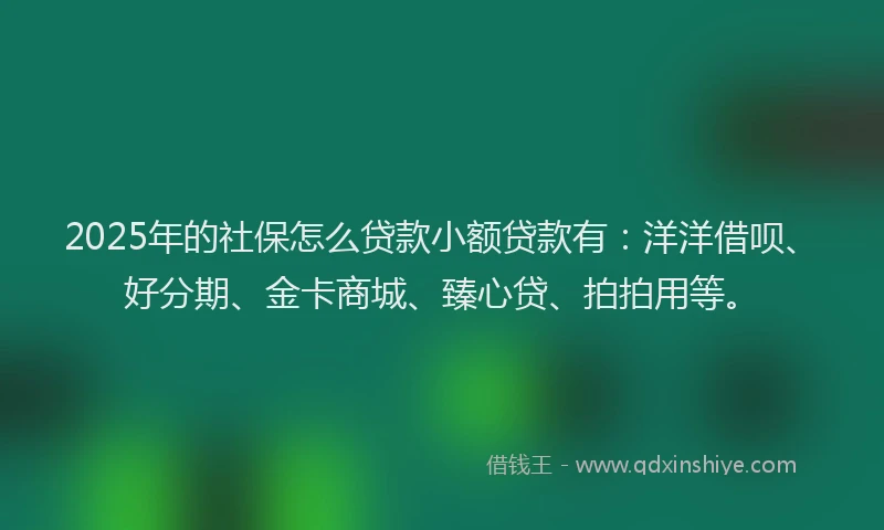 2025年的社保怎么贷款小额贷款有：洋洋借呗、好分期、金卡商城、臻心贷、拍拍用等。