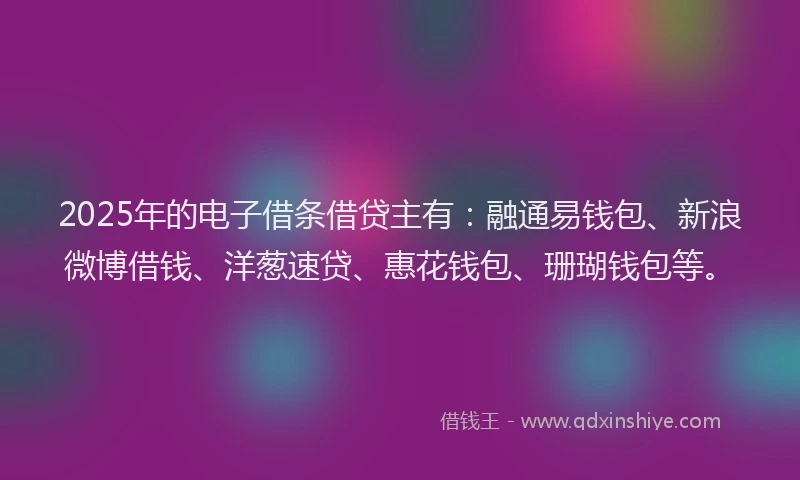 2025年的电子借条借贷主有：融通易钱包、新浪微博借钱、洋葱速贷、惠花钱包、珊瑚钱包等。