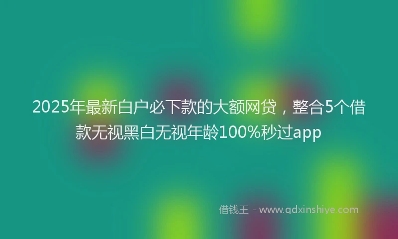 2025年最新白户必下款的大额网贷，整合5个借款无视黑白无视年龄100%秒过app
