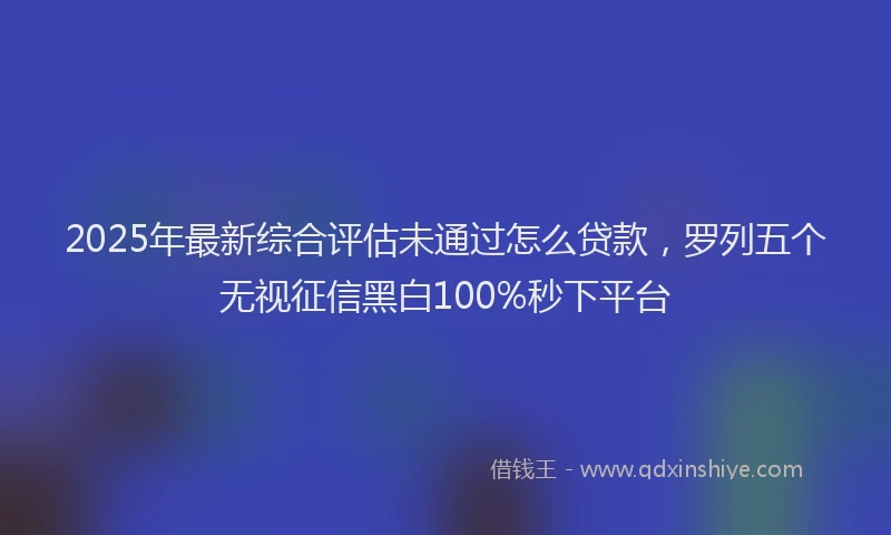 2025年最新综合评估未通过怎么贷款，罗列五个无视征信黑白100%秒下平台