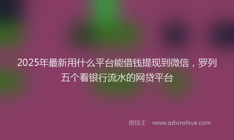 2025年最新用什么平台能借钱提现到微信，罗列五个看银行流水的网贷平台