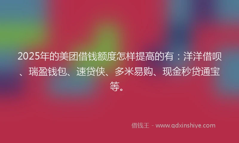 2025年的美团借钱额度怎样提高的有：洋洋借呗、瑞盈钱包、速贷侠、多米易购、现金秒贷通宝等。