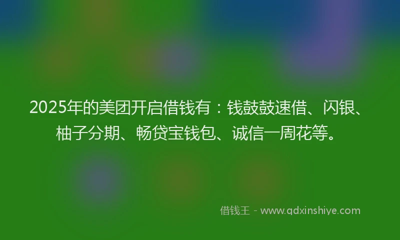2025年的美团开启借钱有：钱鼓鼓速借、闪银、柚子分期、畅贷宝钱包、诚信一周花等。