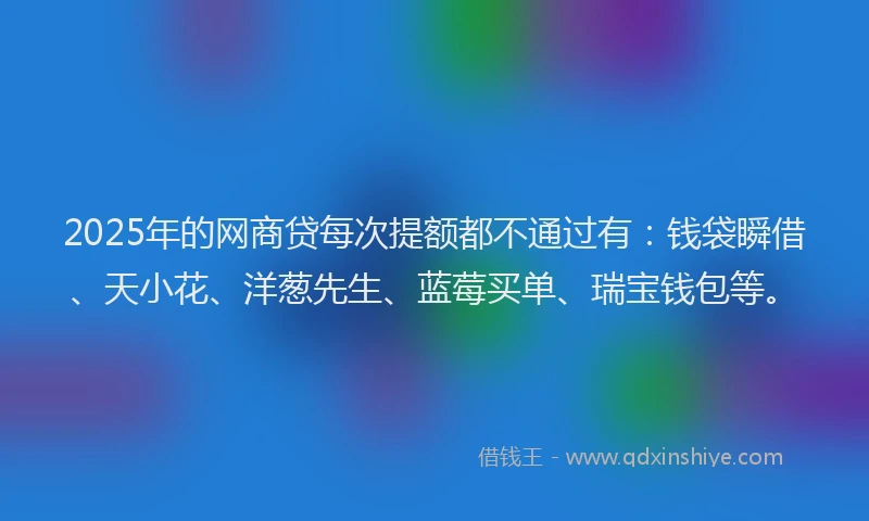 2025年的网商贷每次提额都不通过有：钱袋瞬借、天小花、洋葱先生、蓝莓买单、瑞宝钱包等。