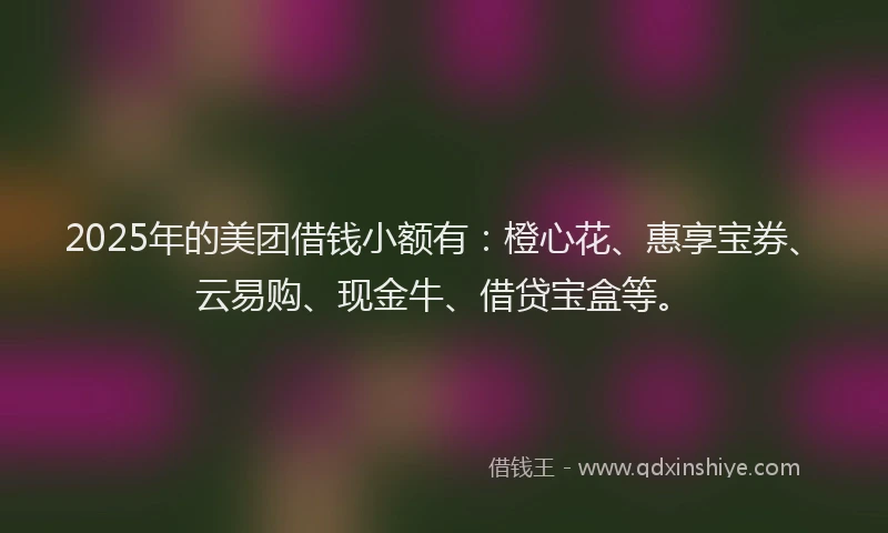2025年的美团借钱小额有：橙心花、惠享宝券、云易购、现金牛、借贷宝盒等。