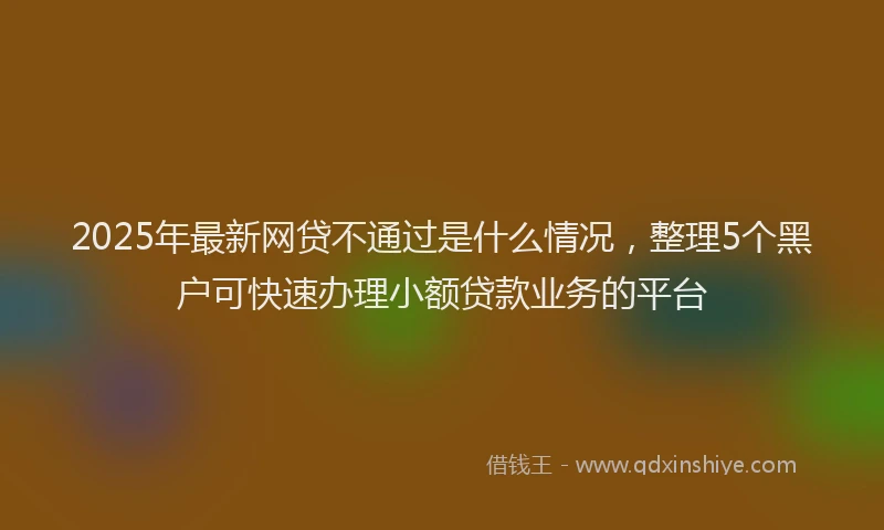 2025年最新网贷不通过是什么情况，整理5个黑户可快速办理小额贷款业务的平台