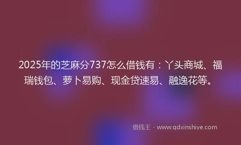 2025年的芝麻分737怎么借钱有：丫头商城、福瑞钱包、萝卜易购、现金贷速易、融逸花等。