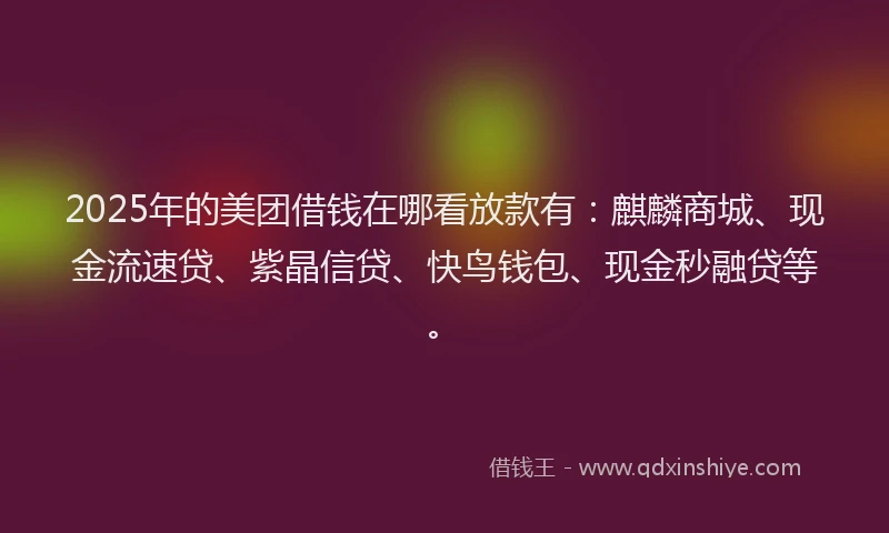 2025年的美团借钱在哪看放款有:麒麟商城、现金流速贷、紫晶信贷、快鸟钱包、现金秒融贷等。