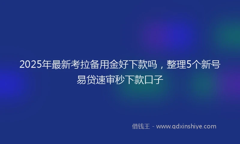 2025年最新考拉备用金好下款吗，整理5个新号易贷速审秒下款口子