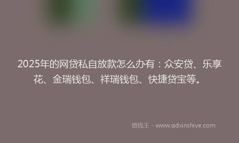 2025年的网贷私自放款怎么办有：众安贷、乐享花、金瑞钱包、祥瑞钱包、快捷贷宝等。
