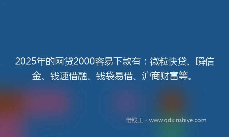 2025年的网贷2000容易下款有：微粒快贷、瞬信金、钱速借融、钱袋易借、沪商财富等。