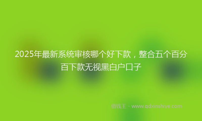 2025年最新系统审核哪个好下款，整合五个百分百下款无视黑白户口子