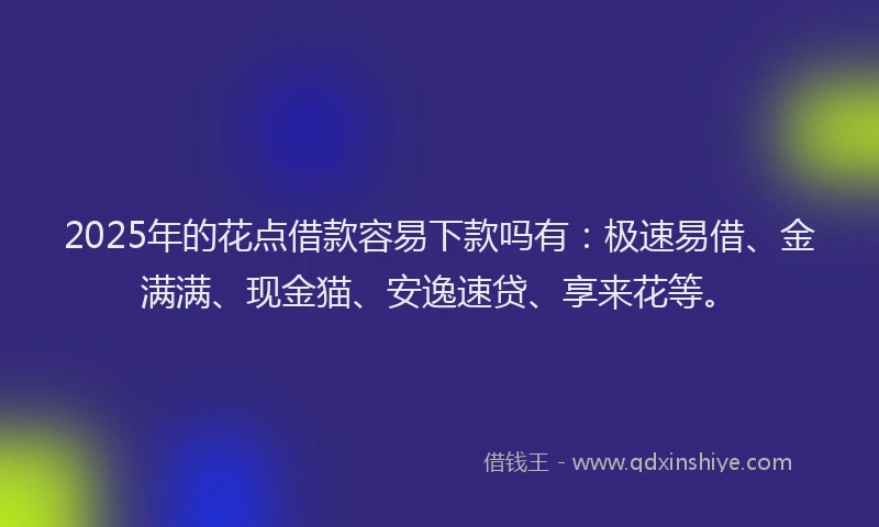 2025年的花点借款容易下款吗有：极速易借、金满满、现金猫、安逸速贷、享来花等。