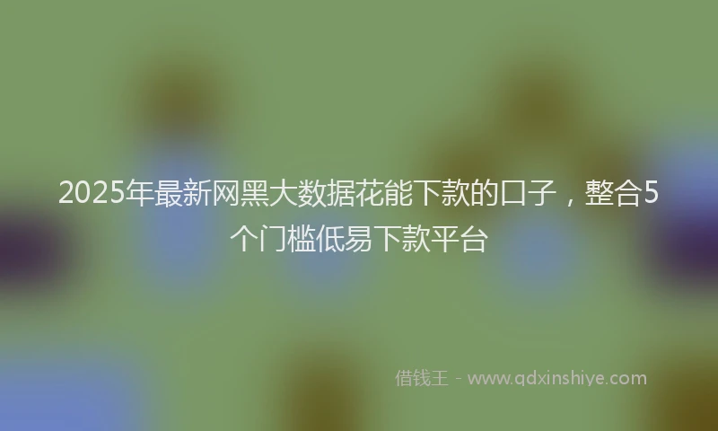 2025年最新网黑大数据花能下款的口子，整合5个门槛低易下款平台