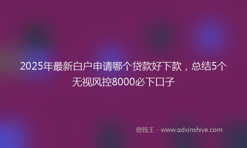 2025年最新白户申请哪个贷款好下款，总结5个无视风控8000必下口子