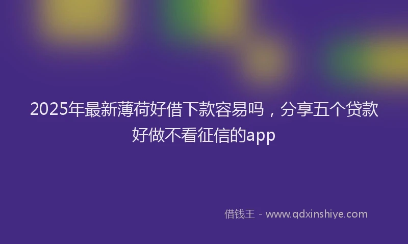 2025年最新薄荷好借下款容易吗，分享五个贷款好做不看征信的app