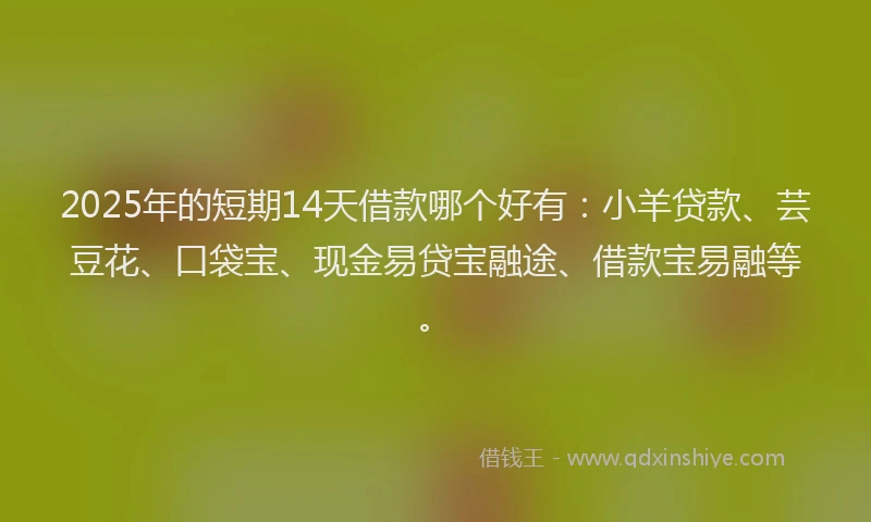 2025年的短期14天借款哪个好有：小羊贷款、芸豆花、口袋宝、现金易贷宝融途、借款宝易融等。