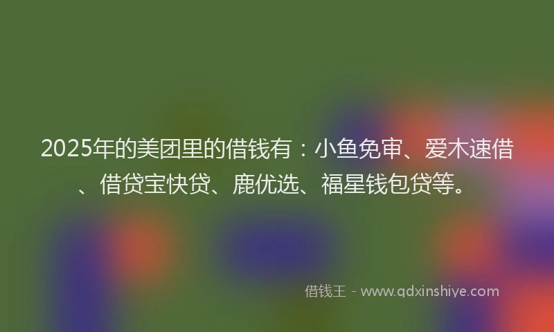 2025年的美团里的借钱有：小鱼免审、爱木速借、借贷宝快贷、鹿优选、福星钱包贷等。