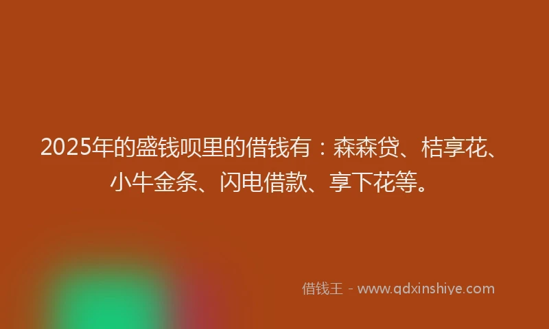 2025年的盛钱呗里的借钱有：森森贷、桔享花、小牛金条、闪电借款、享下花等。