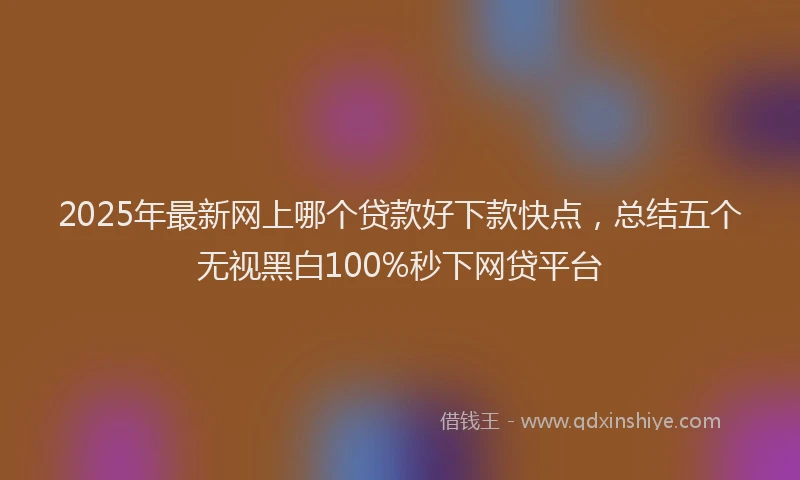 2025年最新网上哪个贷款好下款快点，总结五个无视黑白100%秒下网贷平台