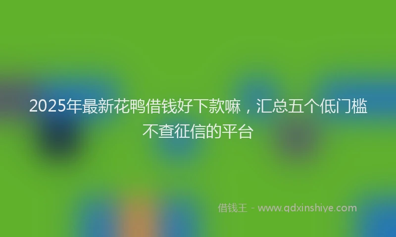 2025年最新花鸭借钱好下款嘛，汇总五个低门槛不查征信的平台