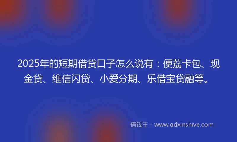 2025年的短期借贷口子怎么说有：便荔卡包、现金贷、维信闪贷、小爱分期、乐借宝贷融等。