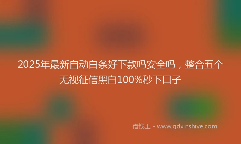 2025年最新自动白条好下款吗安全吗，整合五个无视征信黑白100%秒下口子