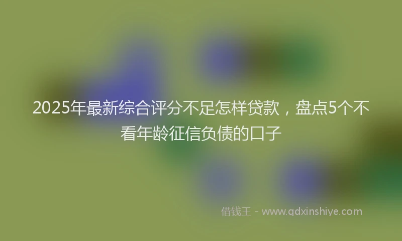 2025年最新综合评分不足怎样贷款，盘点5个不看年龄征信负债的口子