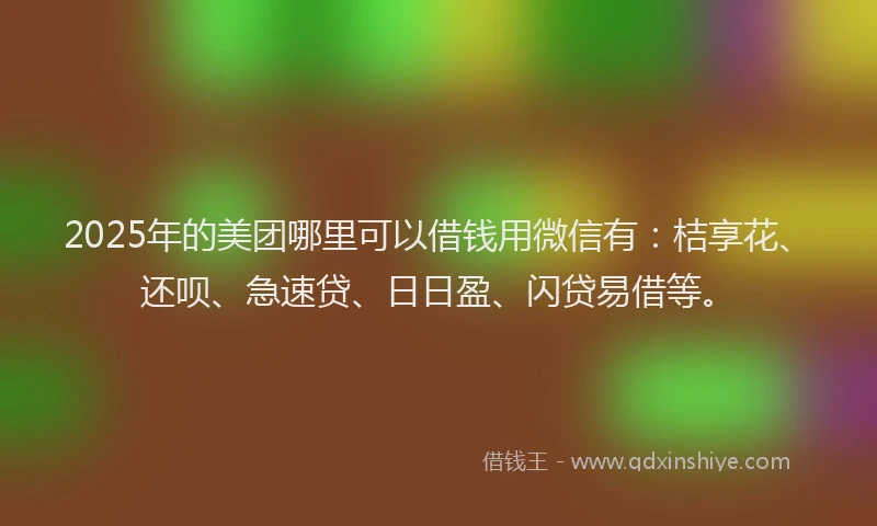 2025年的美团哪里可以借钱用微信有：桔享花、还呗、急速贷、日日盈、闪贷易借等。