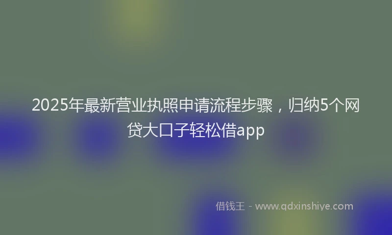 2025年最新营业执照申请流程步骤，归纳5个网贷大口子轻松借app